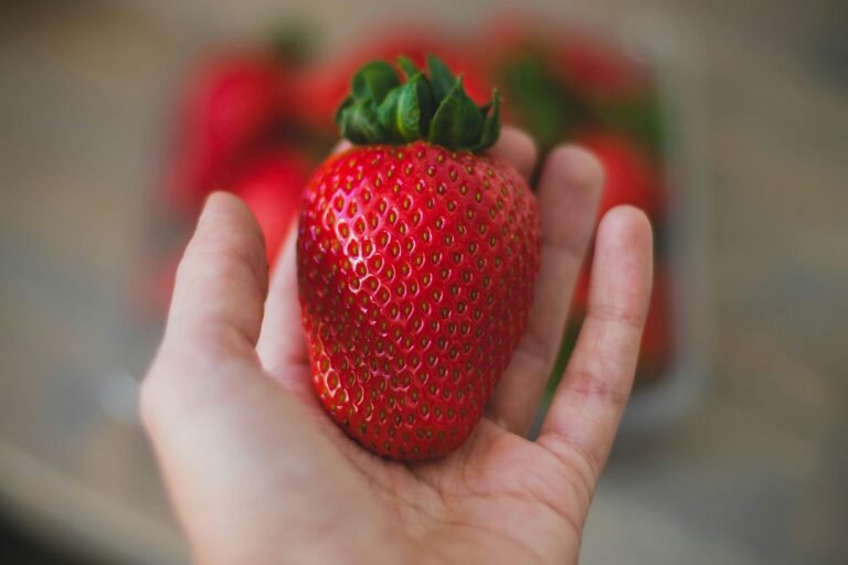 Lire la suite à propos de l’article Print – Étiquette de packaging barquette de fraise